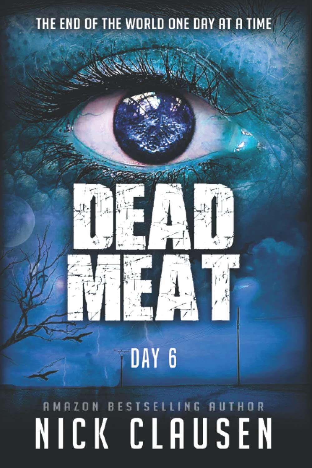 Dead Meat: Day 6 poster