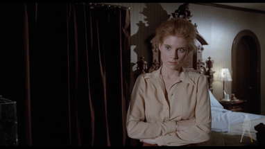 The House Where Death Lives (1981) [Vinegar Syndrome Blu-ray Promo Trailer] poster