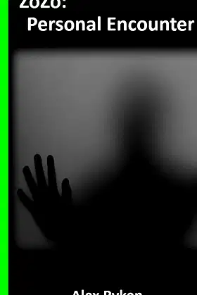 ZoZo: Personal Encounter: Based On True Events poster