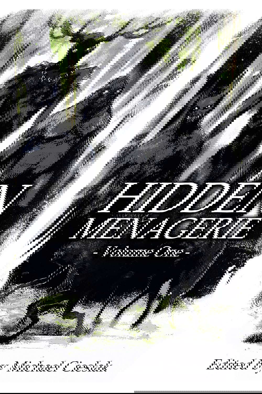 Hidden Menagerie Vol 1 poster