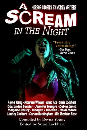 A Scream in the Night poster