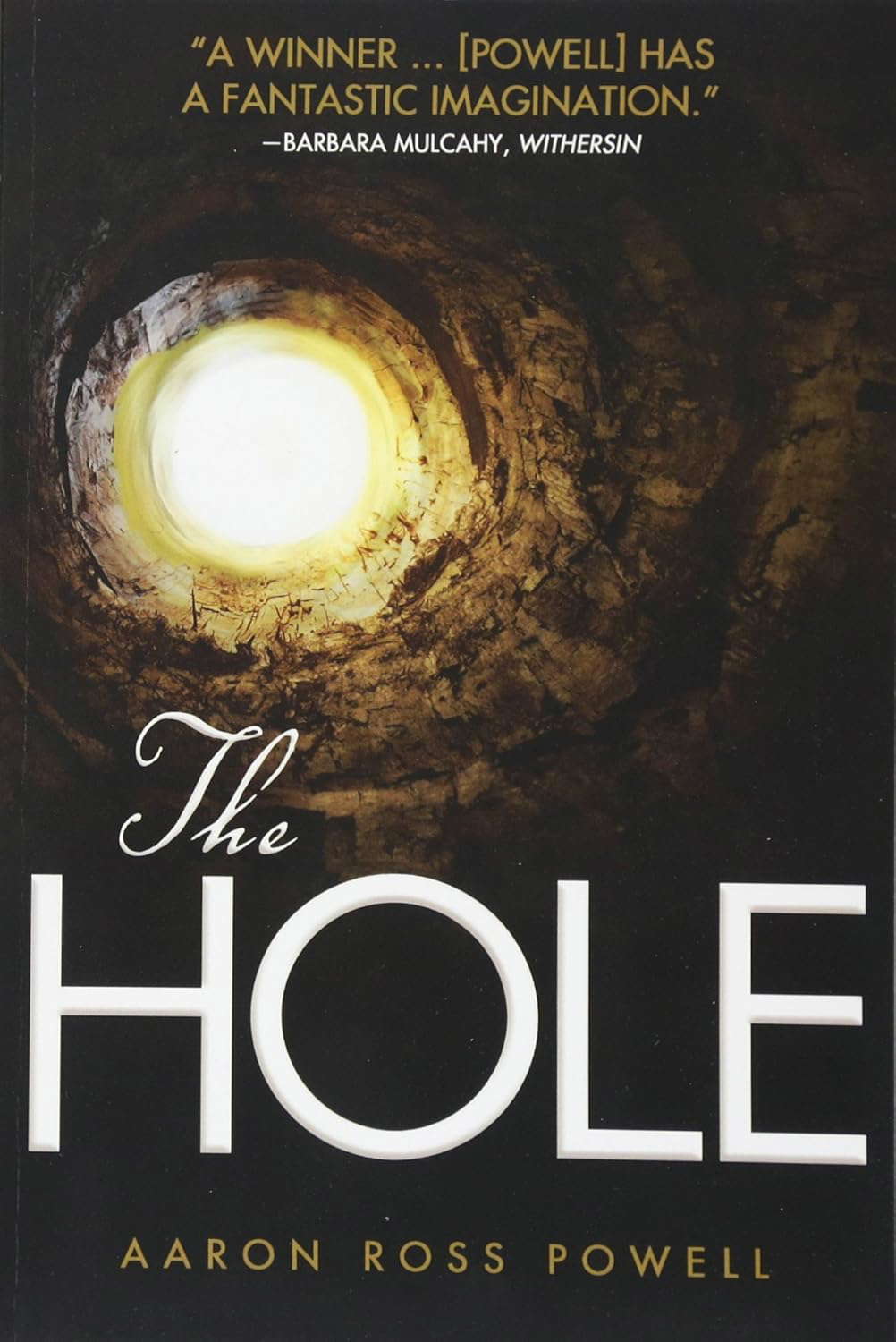 The Hole: A Novel of Supernatural Apocalypse poster