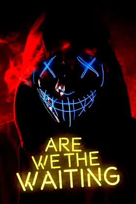 Are We The Waiting poster