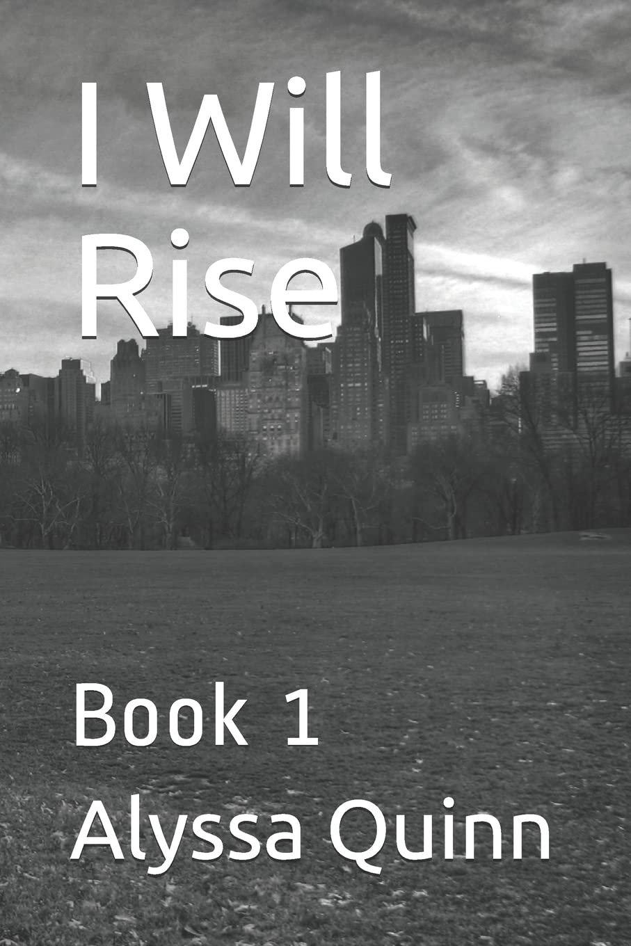 I Will Rise poster