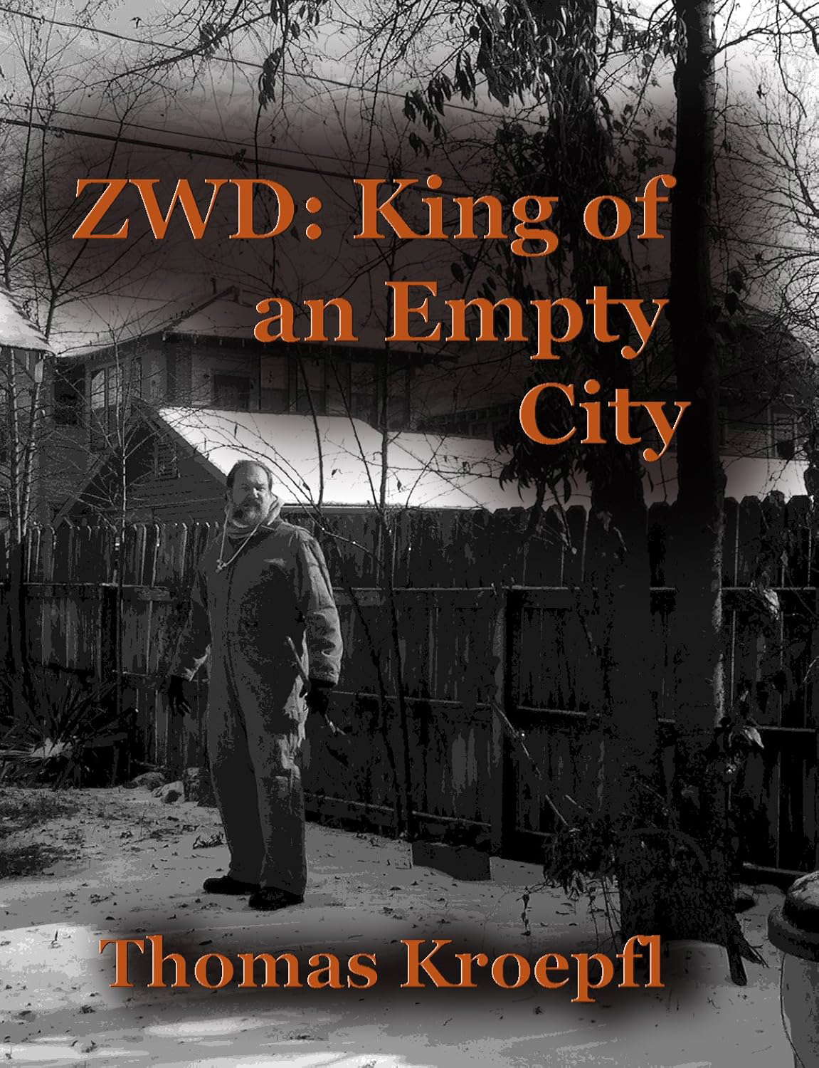 ZWD: King Of An Empty City poster