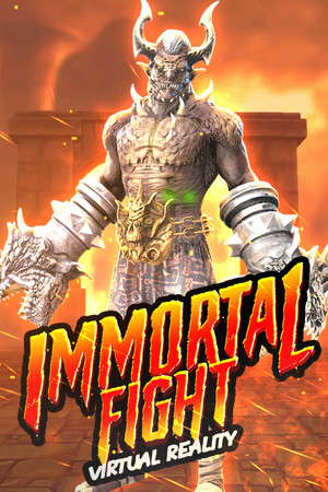 VR Immortal Fight poster