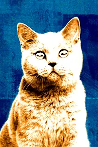 season poster
