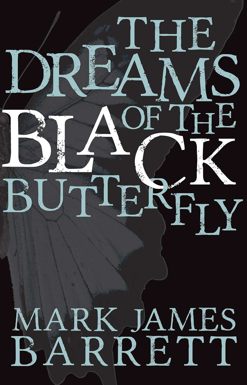 The Dreams of the Black Butterfly poster