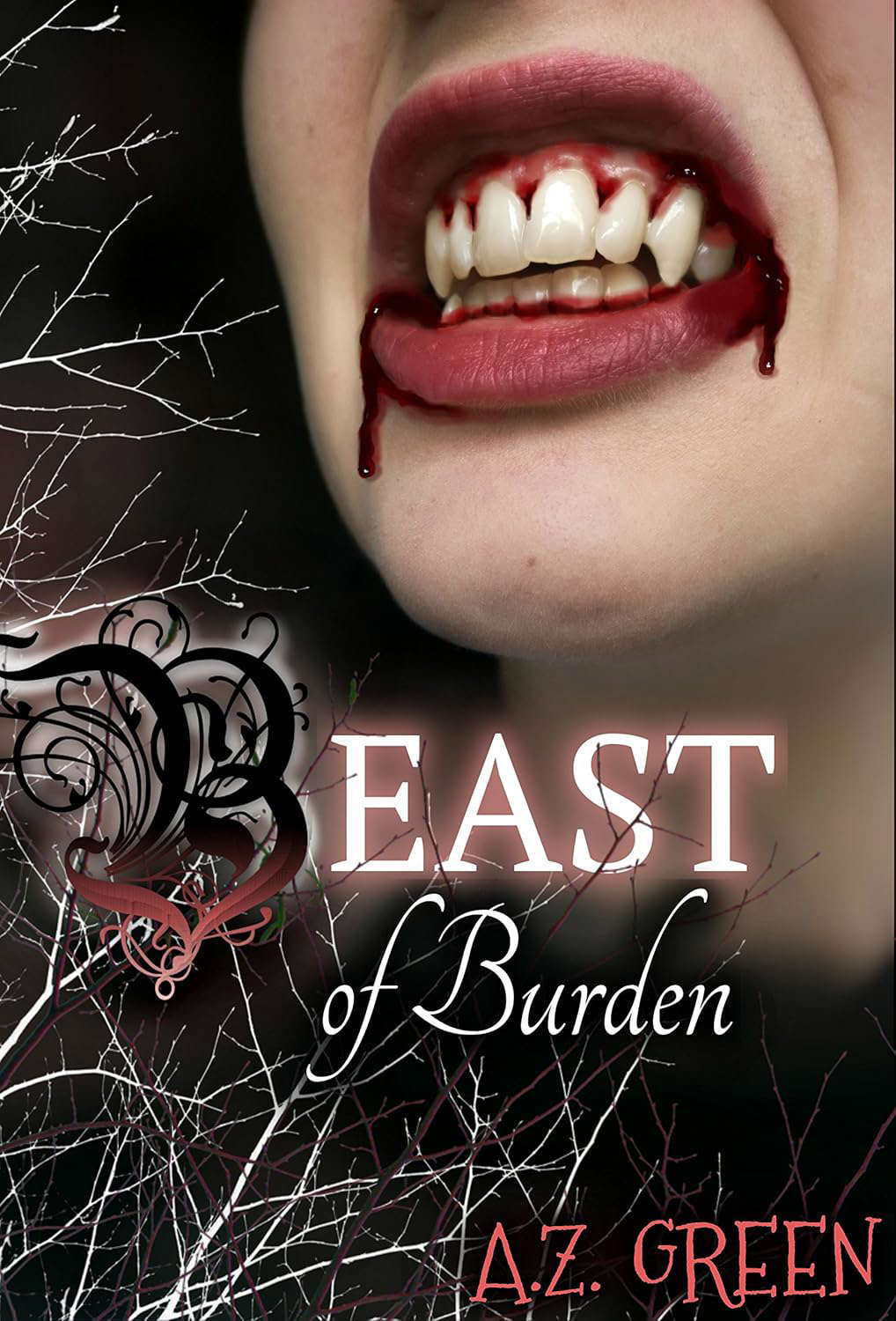Beast of Burden (The Hidden Blood Series Book 2) poster