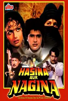 Hasina Aur Nagina poster