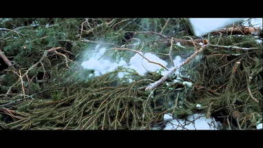 RARE EXPORTS: A CHRISTMAS TALE Official US Theatrical Trailer - Oscilloscope Laboratories poster