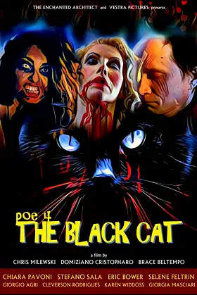 POE 4: The Black Cat poster
