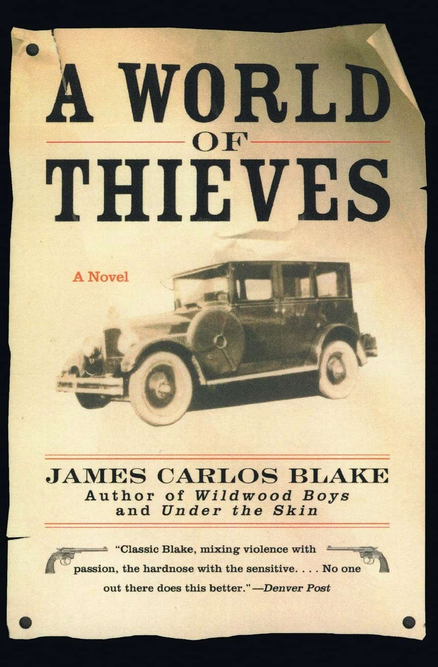 A World of Thieves: A Novel poster