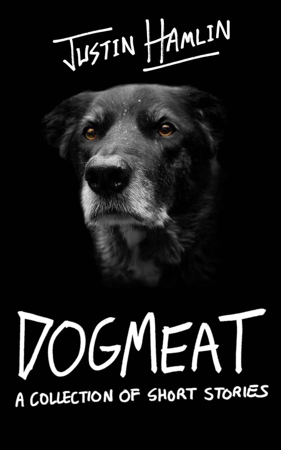 Dogmeat: Short Stories poster
