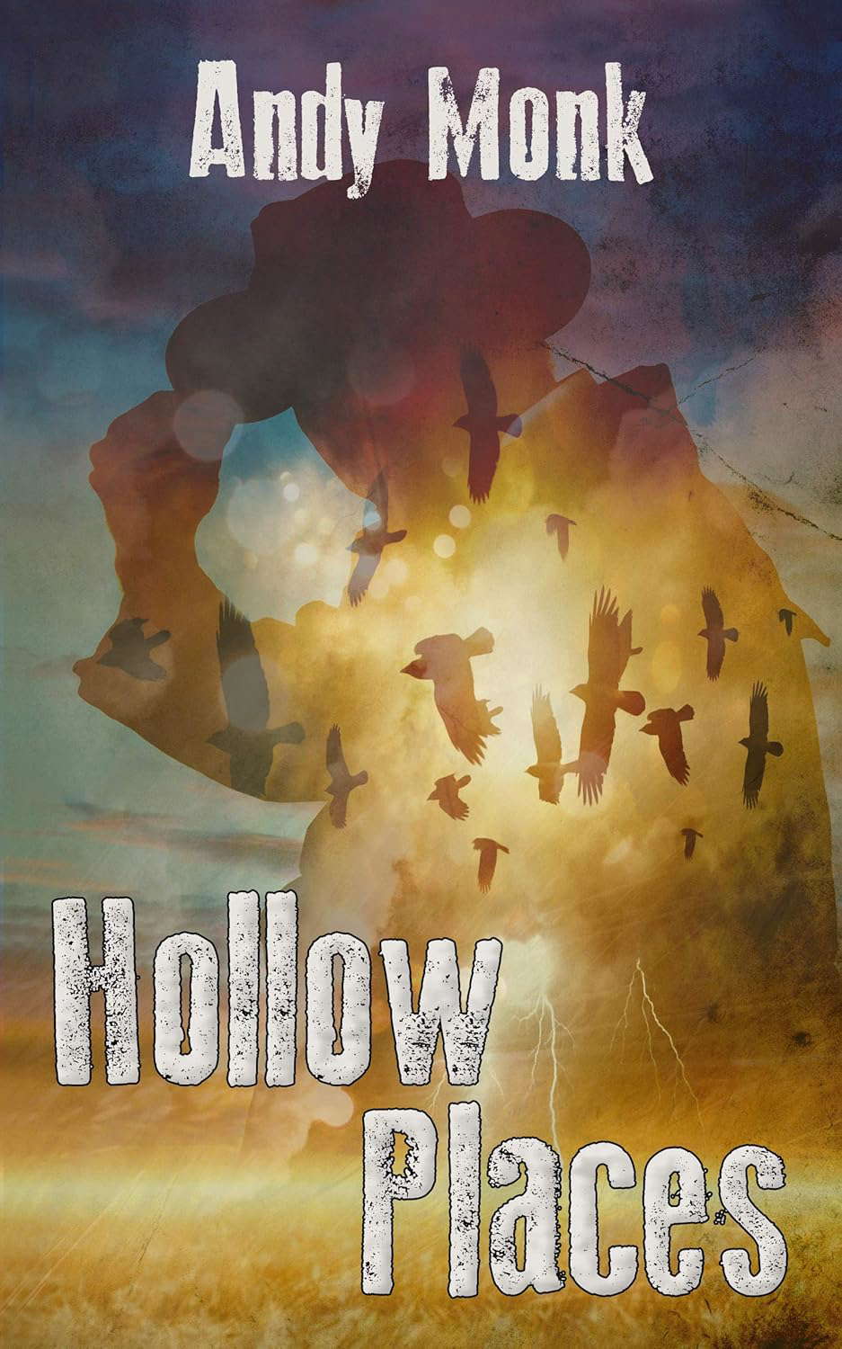 Hollow Places (Hawker's Drift Book 5) poster