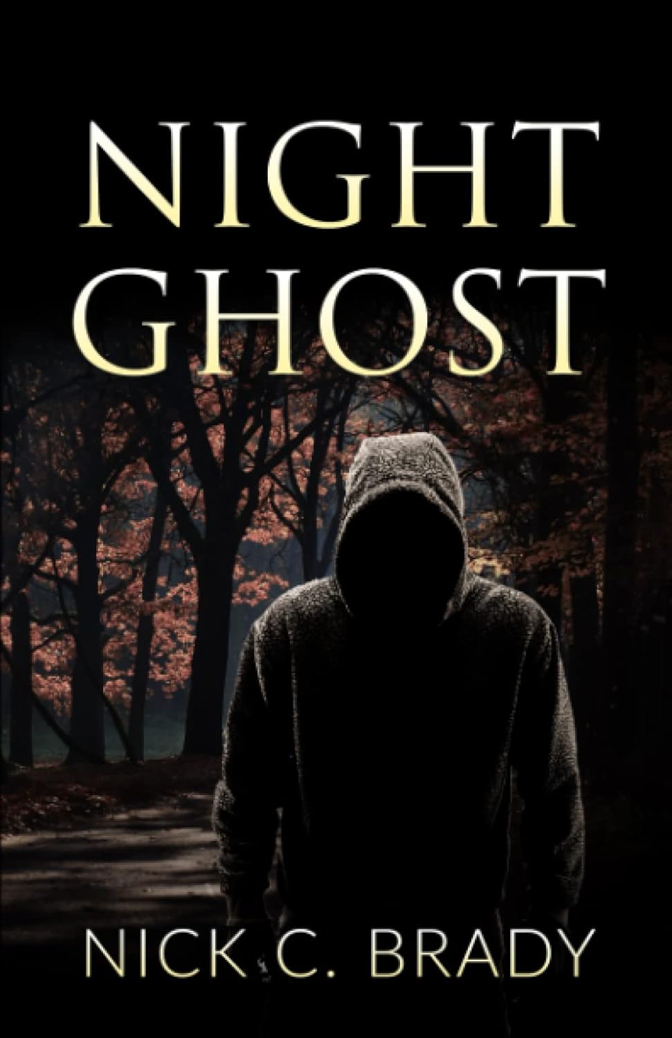 Night Ghost poster