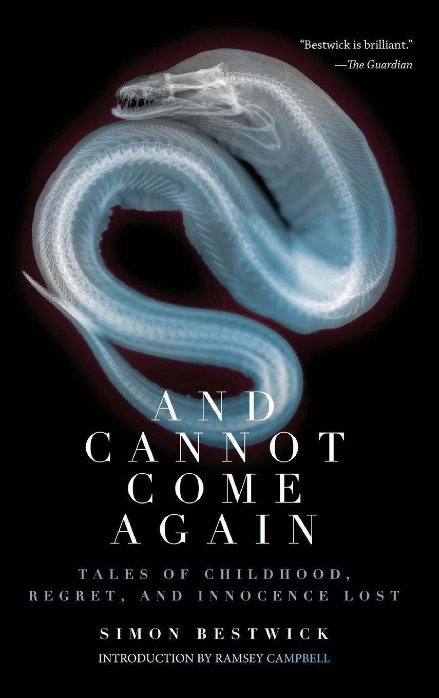 And Cannot Come Again: Tales of Childhood, Regret, and Innocence Lost poster