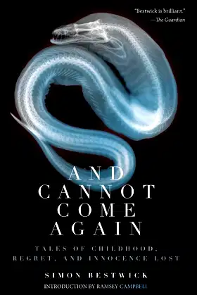 And Cannot Come Again: Tales of Childhood, Regret, and Innocence Lost poster