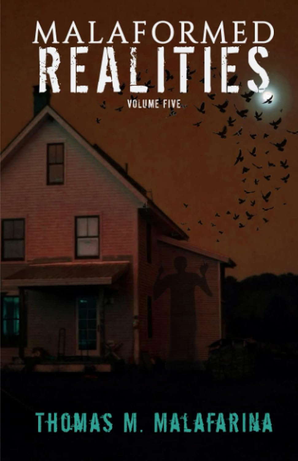 Malaformed Realities Volume 5 poster