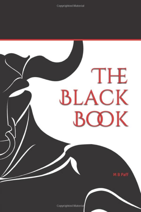 The Black Book poster