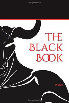 The Black Book poster