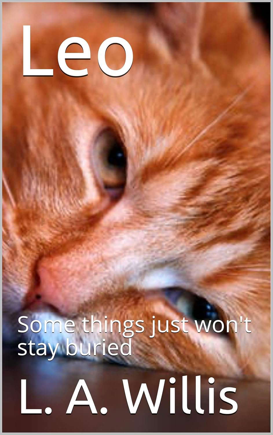 Leo: Some things just won't stay buried poster