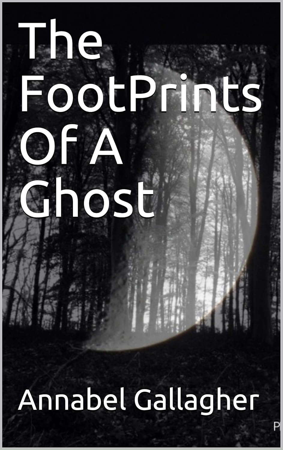 The FootPrints Of A Ghost poster