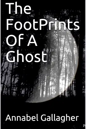 The FootPrints Of A Ghost poster