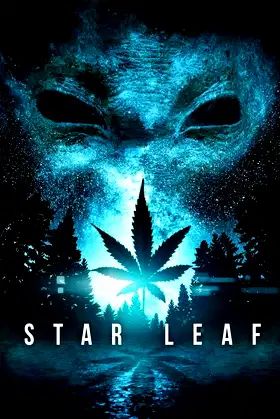 Star Leaf poster