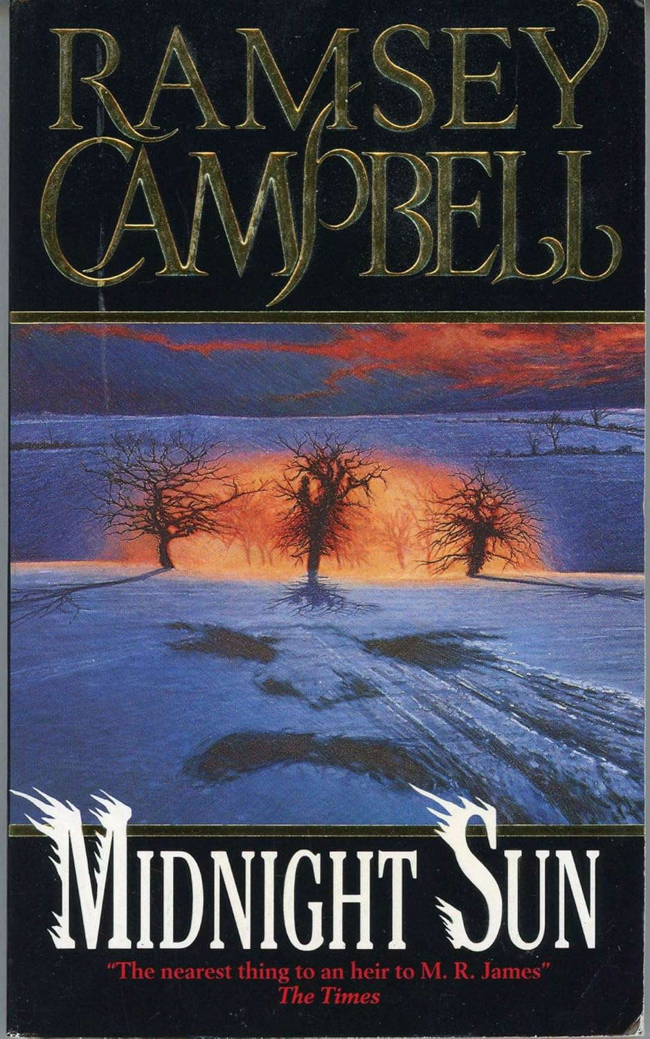 Midnight Sun poster