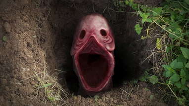 The Burrow poster