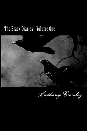 The Black Diaries poster