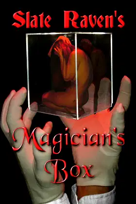 Magician's Box poster