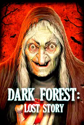 Dark Forest: Lost Story VR poster