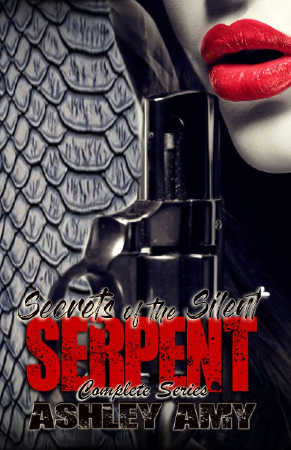 Secrets of the Silent Serpent: Complete Series poster