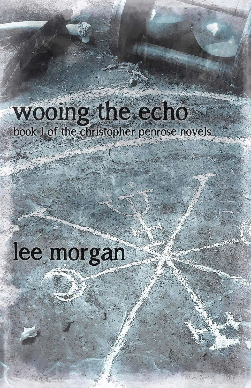 Wooing the Echo: Book One of the Christopher Penrose Novels poster