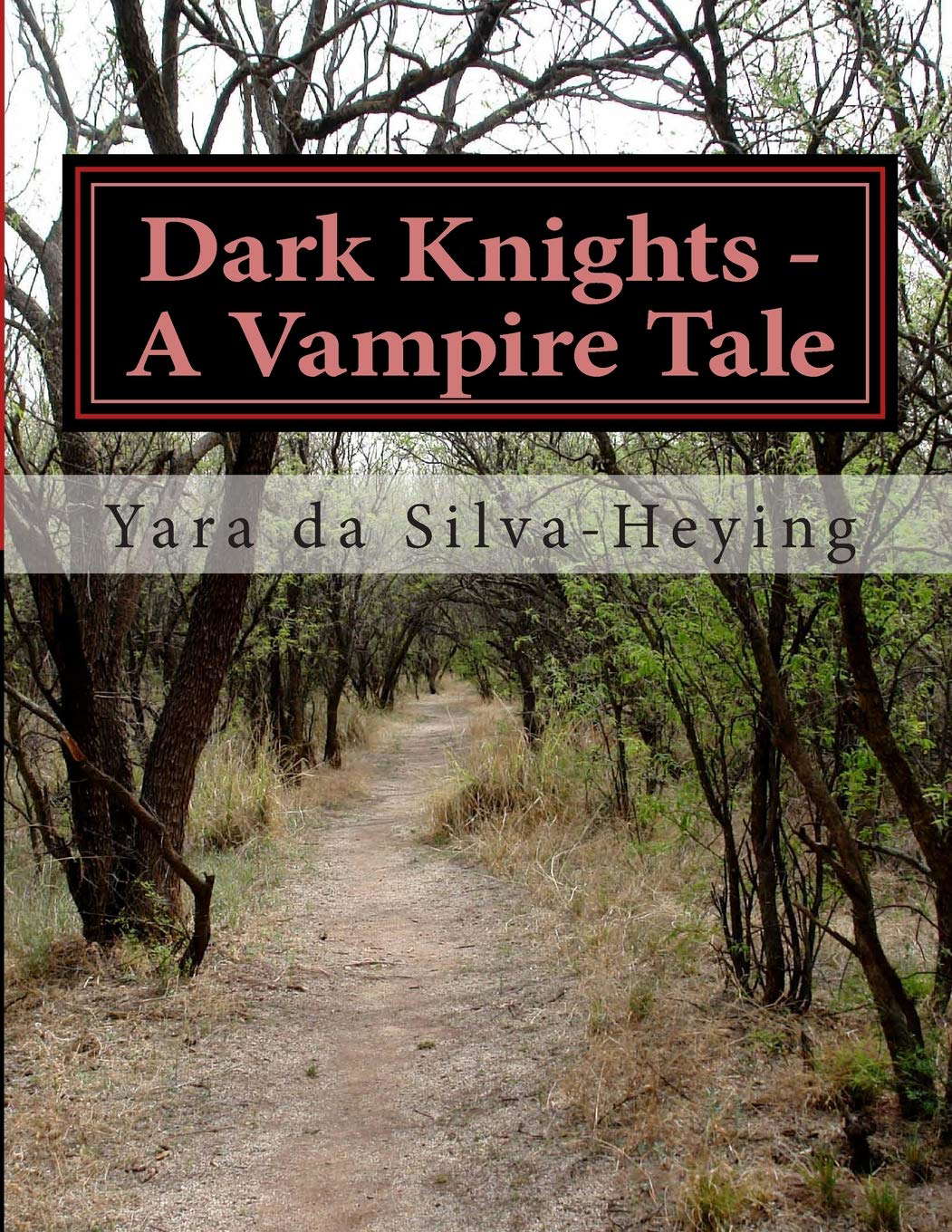 Dark Knights - A Vampire Tale poster