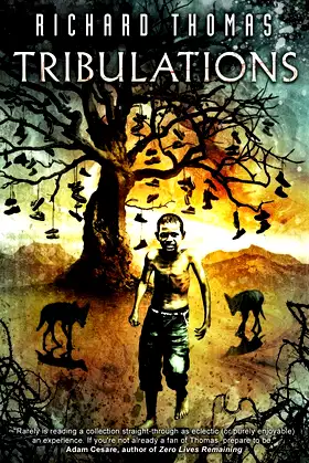 Tribulations poster