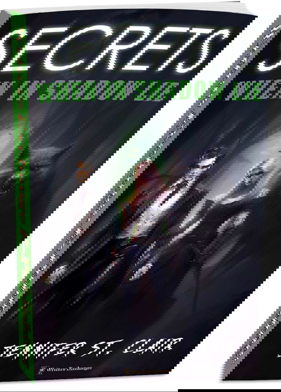Secrets When in Shadow Lie poster