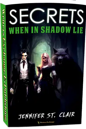 Secrets When in Shadow Lie poster