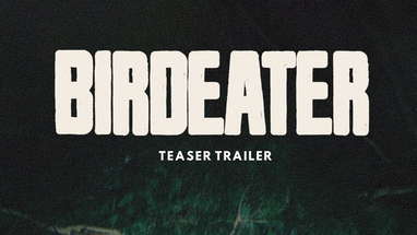 Official Teaser poster