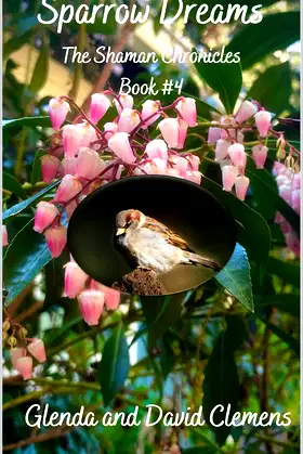 Sparrow Dreams (The Shaman Chronicles Book 4) poster