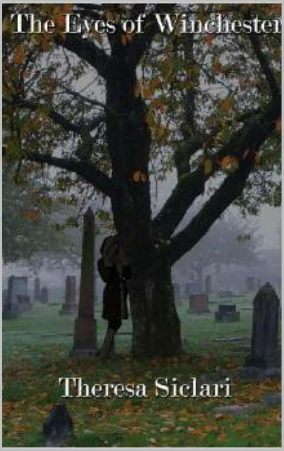 The Eyes Of Winchester poster
