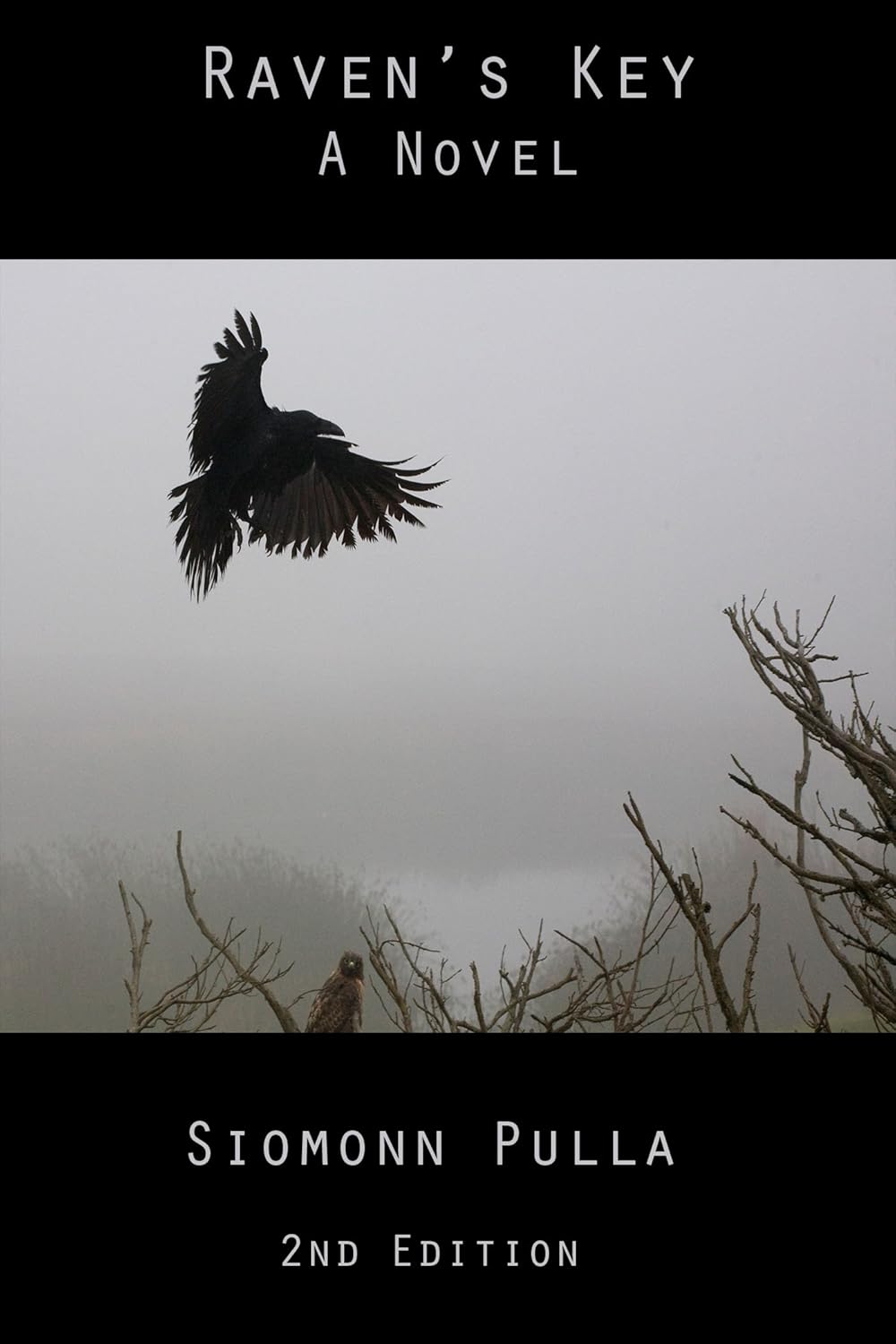 Raven's Key: A Novel poster