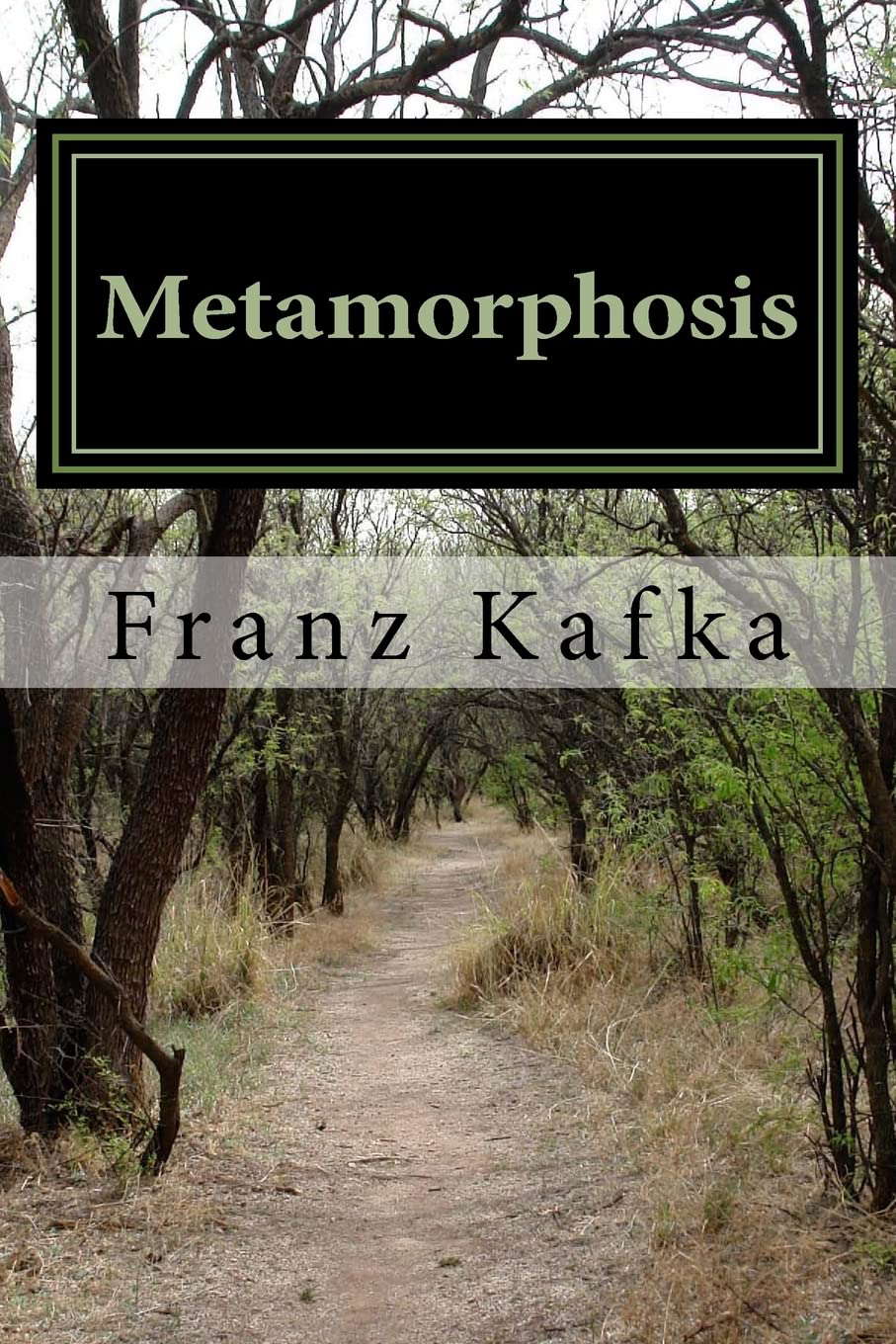 Metamorphosis (The Transformation) poster