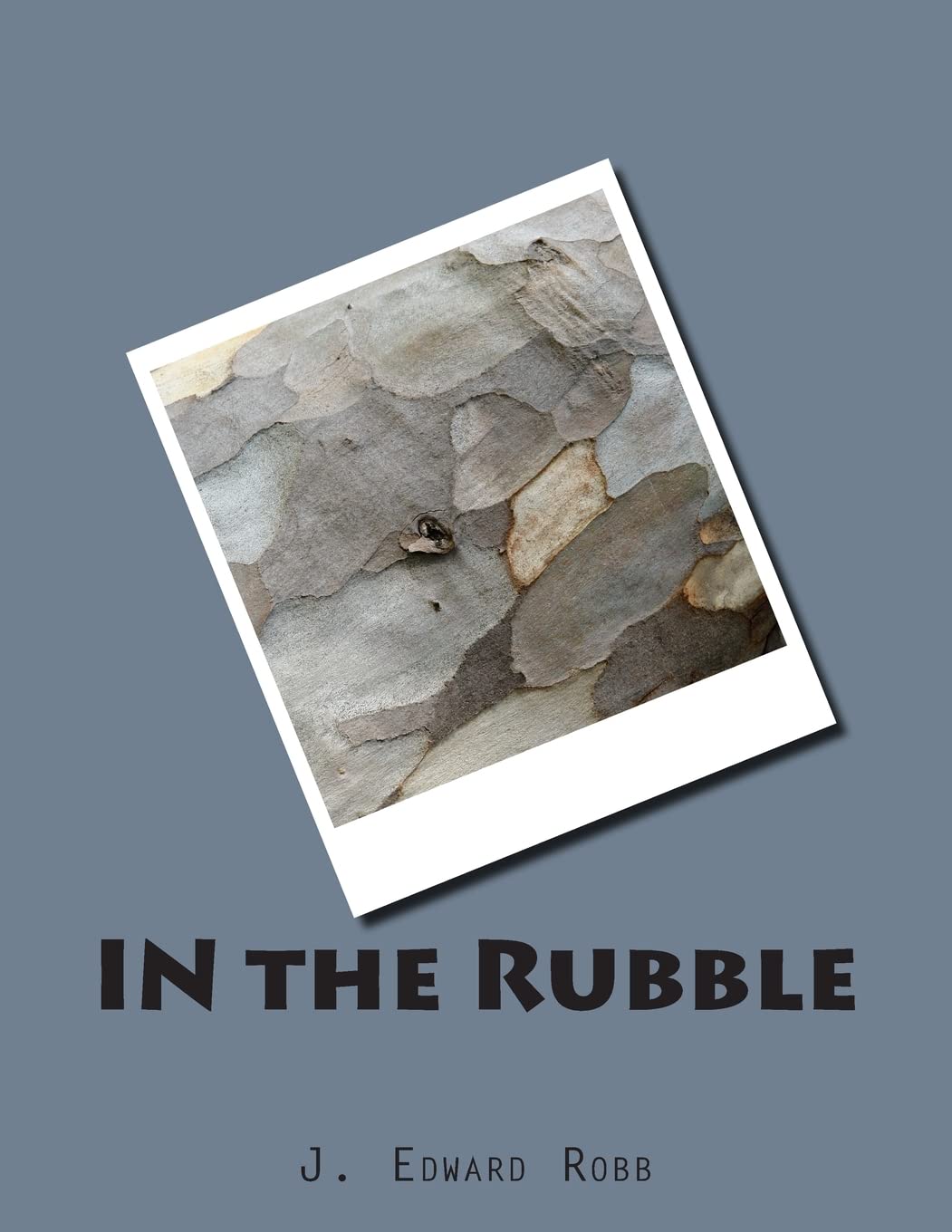 IN the Rubble poster