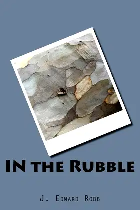 IN the Rubble poster