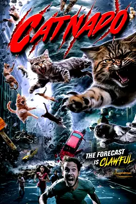 Catnado poster