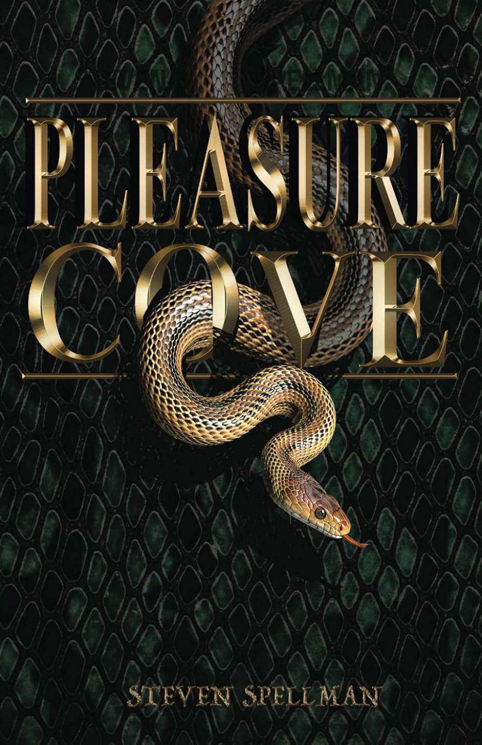 Pleasure Cove poster