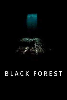 Black Forest poster